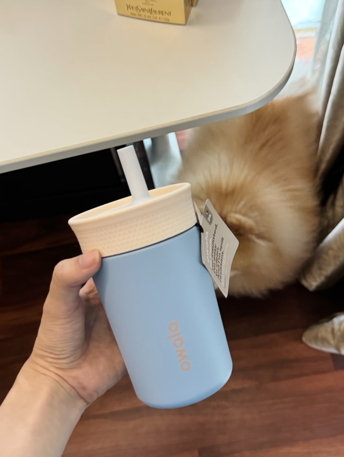 Owala兒童不鏽鋼水樽 (15oz)