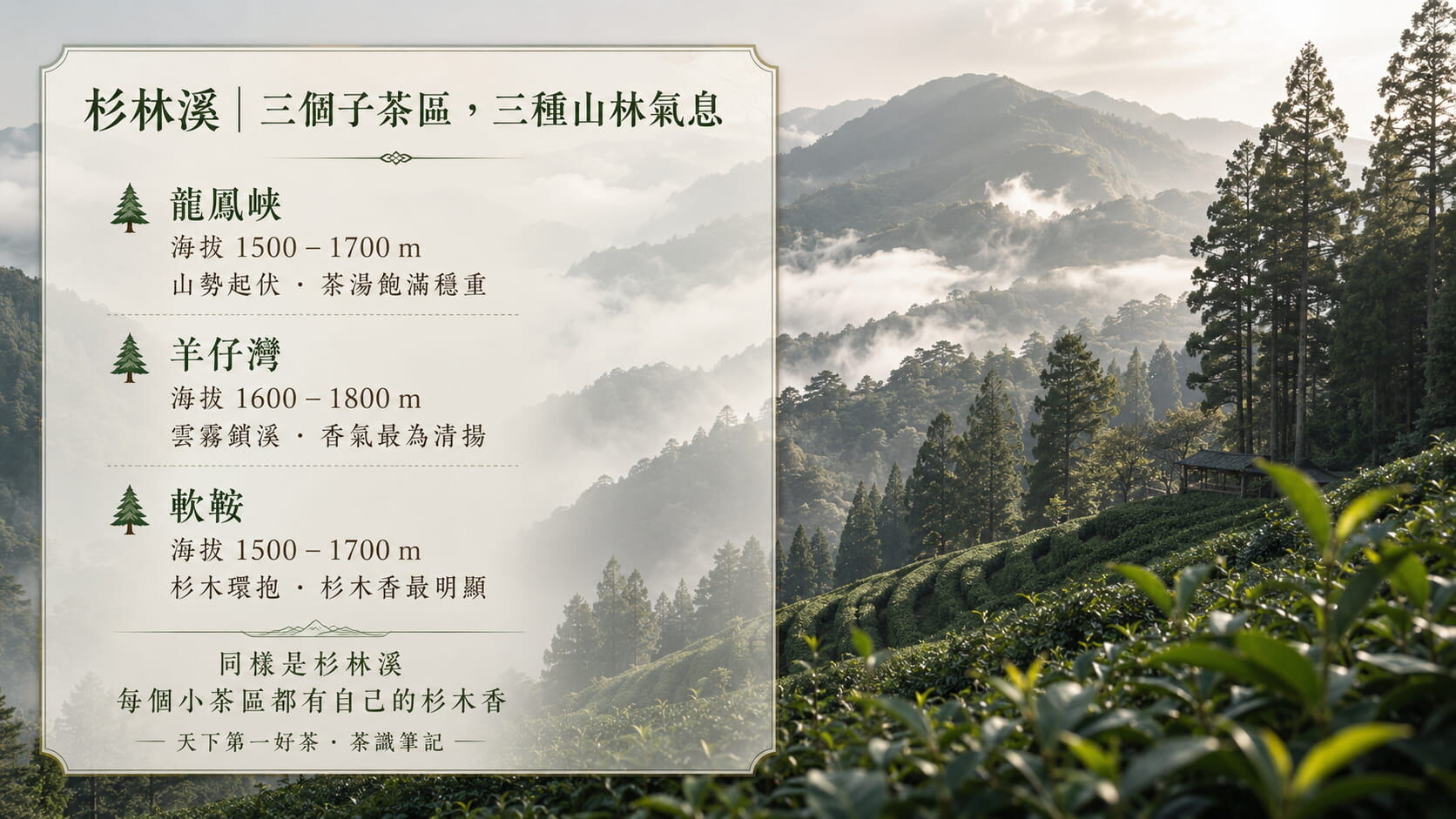 杉林溪三大子茶區風味地圖，龍鳳峽、羊仔灣、軟鞍的海拔範圍與風味特色對照