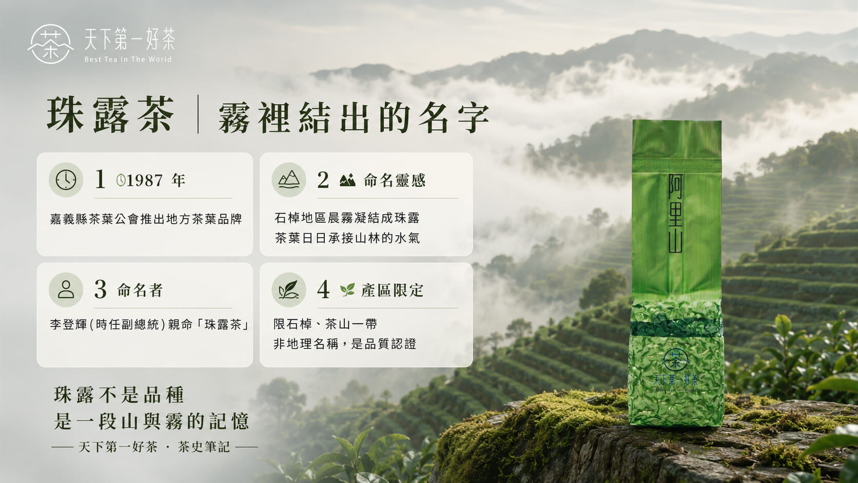 阿里山珠露茶命名故事時間軸，1987年嘉義茶葉公會推出，李登輝命名靈感來自石棹晨霧凝珠露