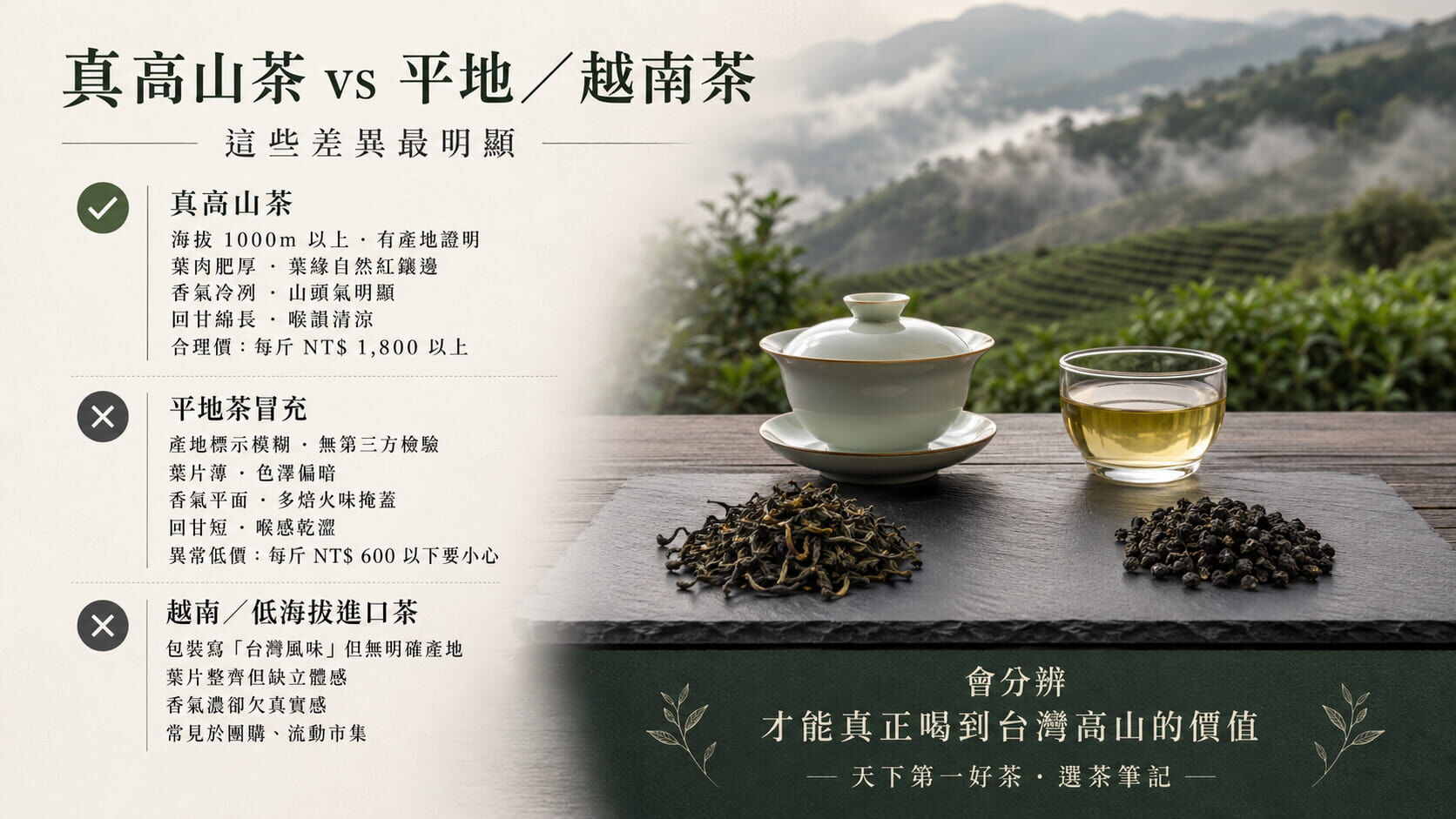 真高山茶與平地茶、越南進口茶冒充對照圖,海拔、外觀、香氣、回甘、價格、通路的辨別重點