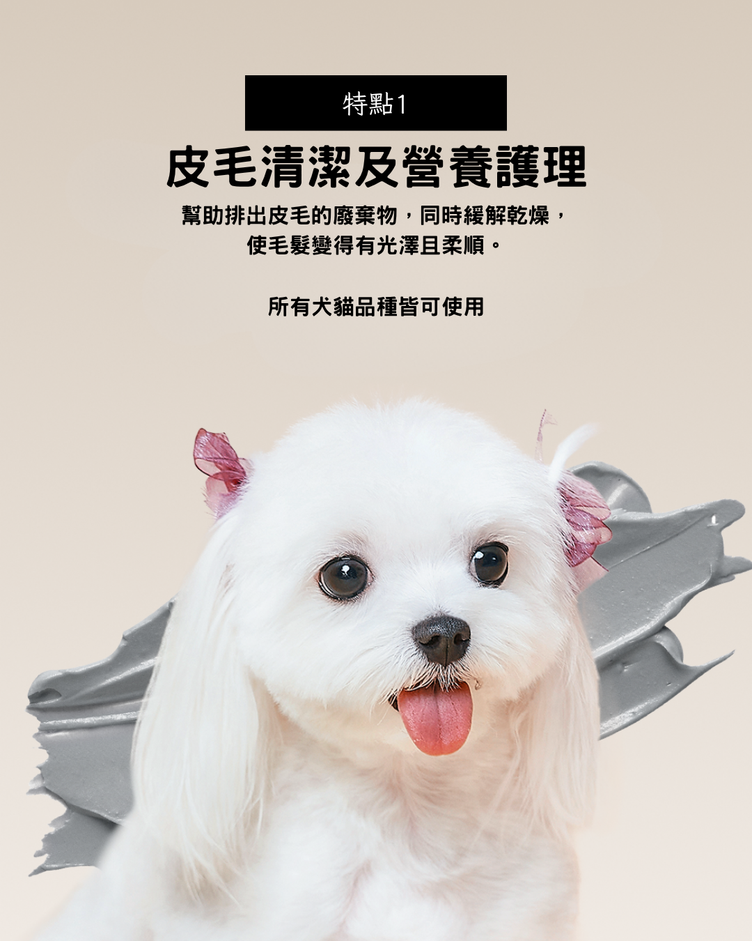 Renadog 摩洛哥火山及海洋礦物泥50g