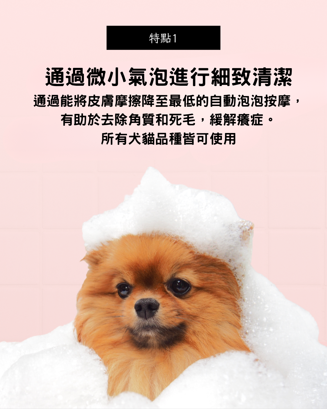 Renadog積雪草爆毛泡泡浴30g