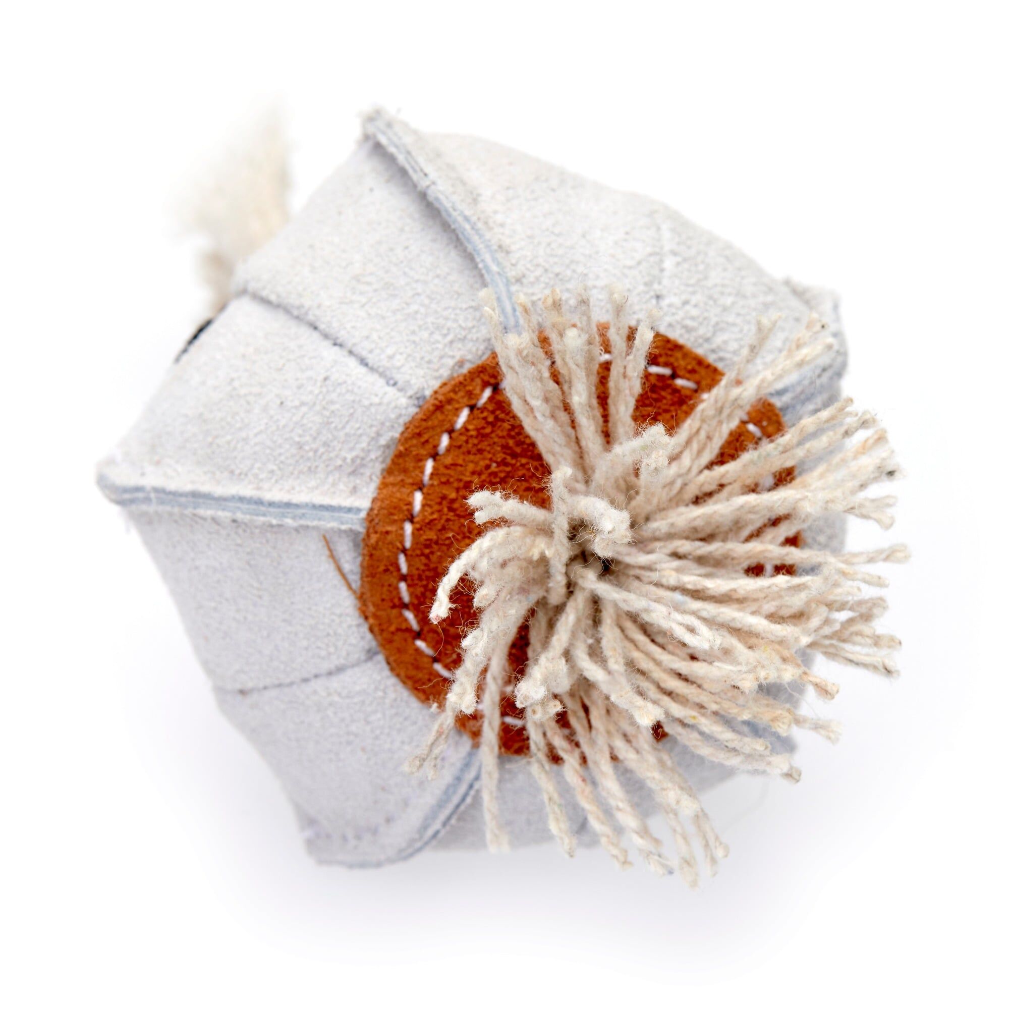 Gary the Garlic - GREEN & WILDS Eco Dog Toy