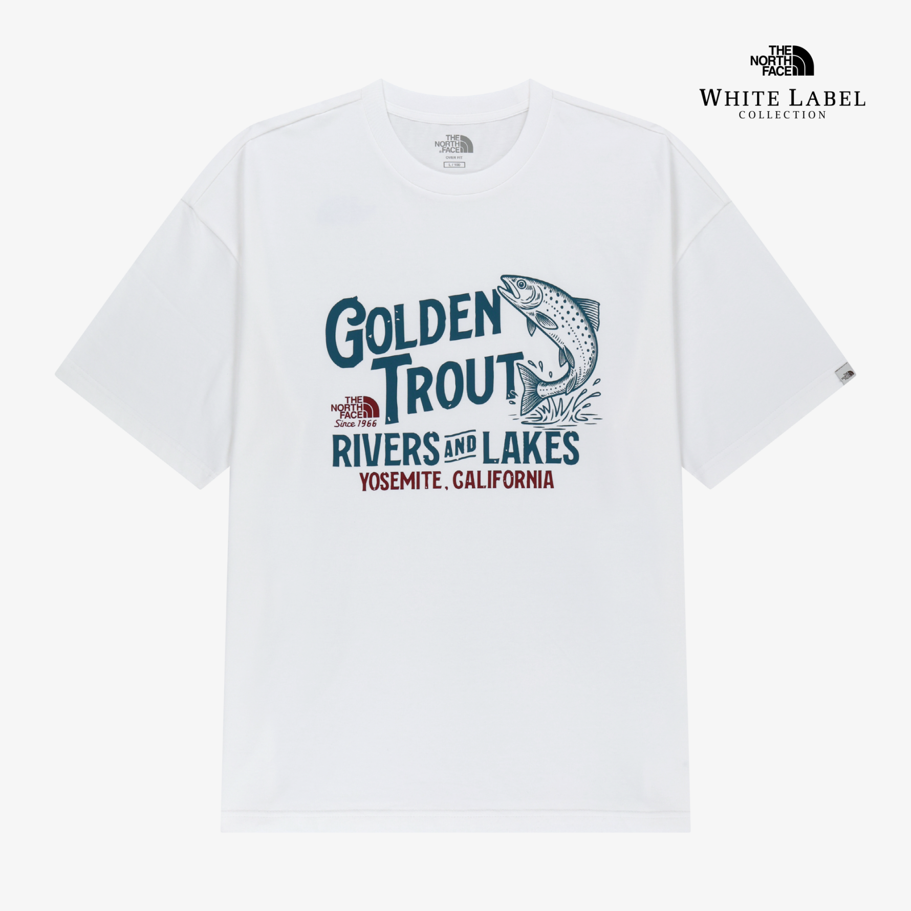 【現貨】The North Face LAKE  金鱒圖像短tee NT7US28