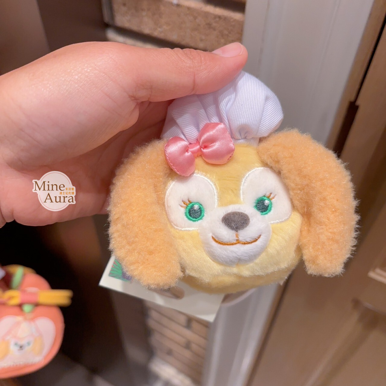 可琦安 餅乾 CookieAnn 絨毛大頭 造型 耳機包 收納包 -上海迪士尼樂園