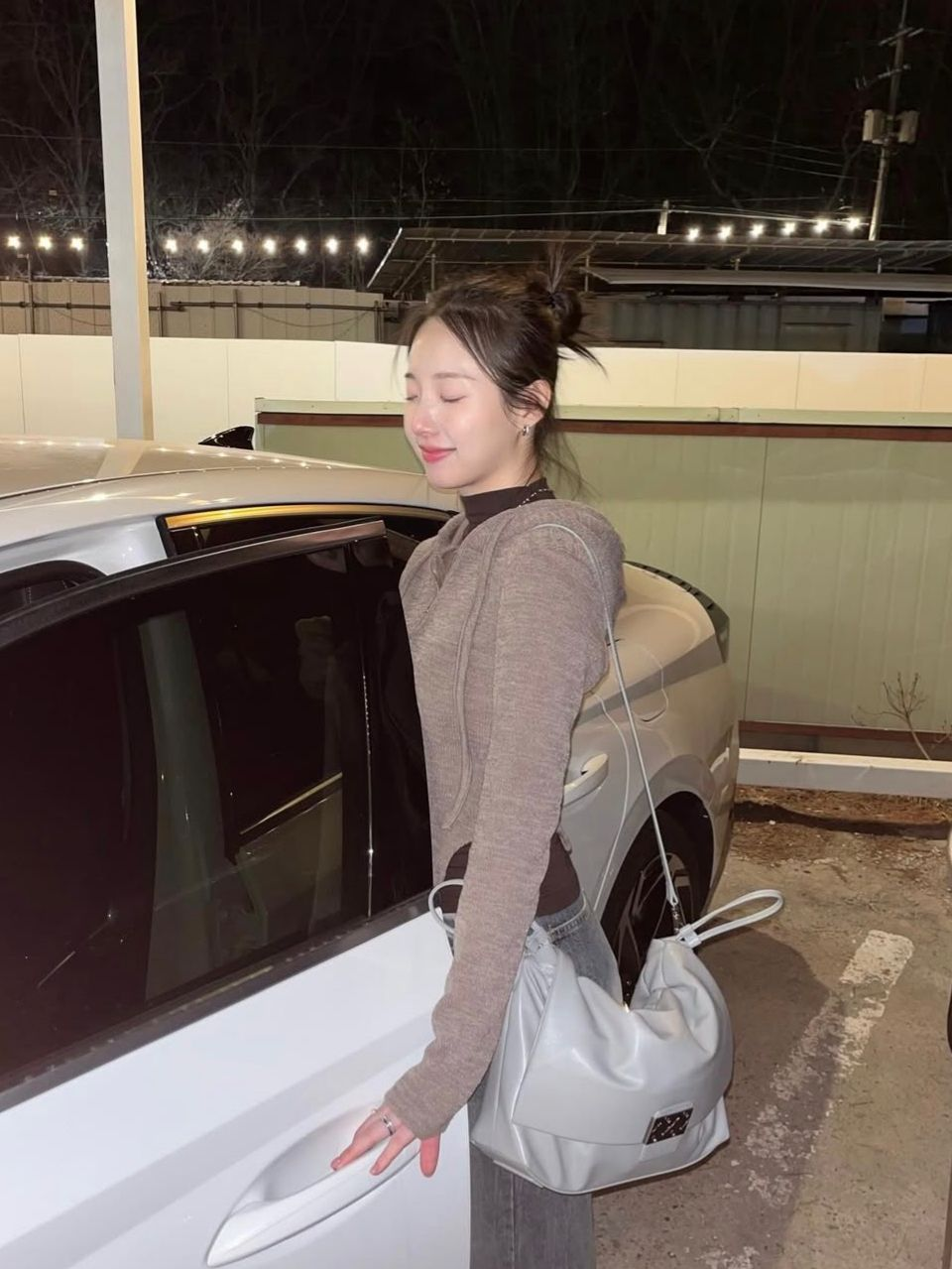 Carlyn  Day Bag