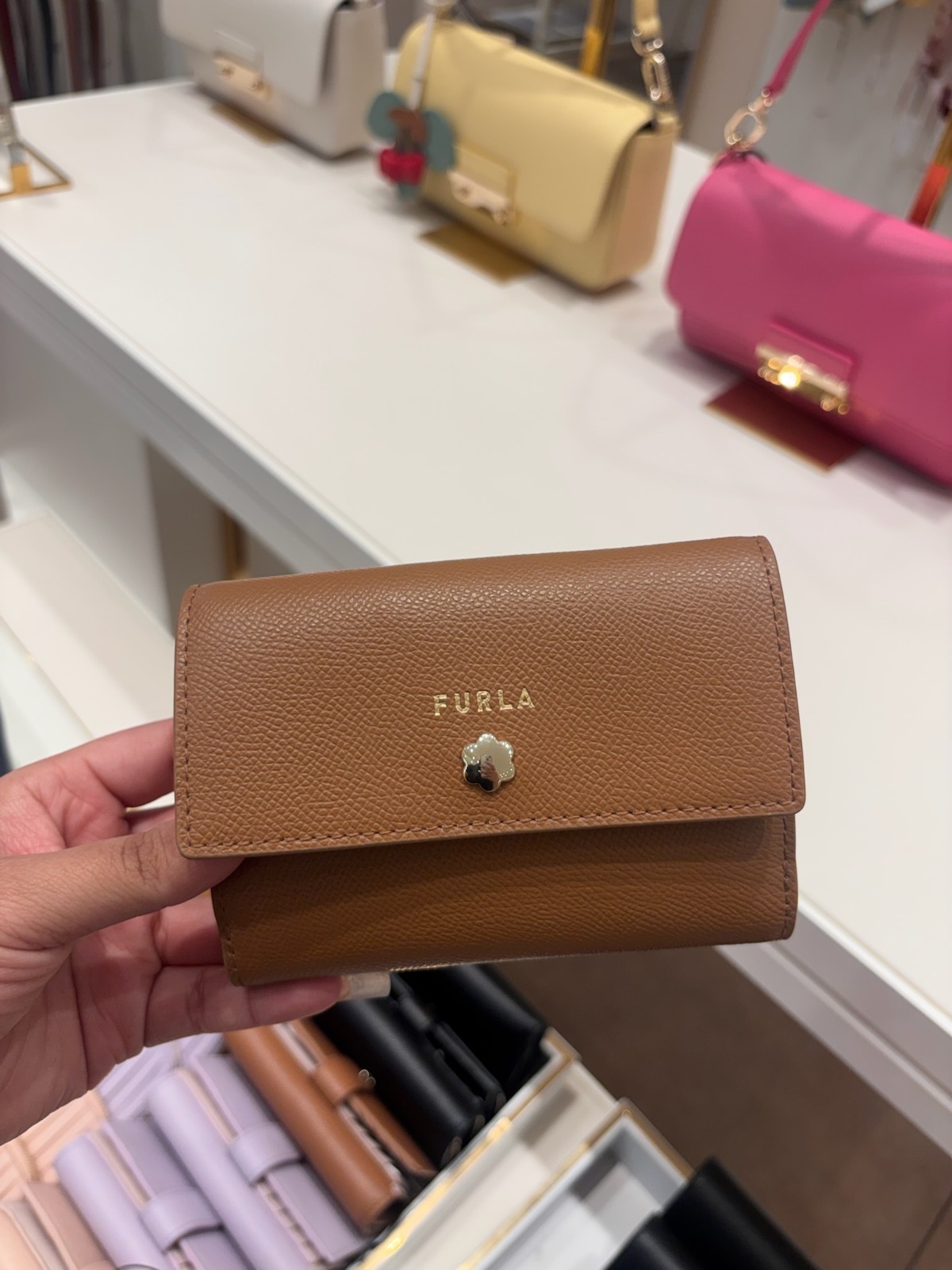 【預購】Furla H051677 Camelia 短銀包