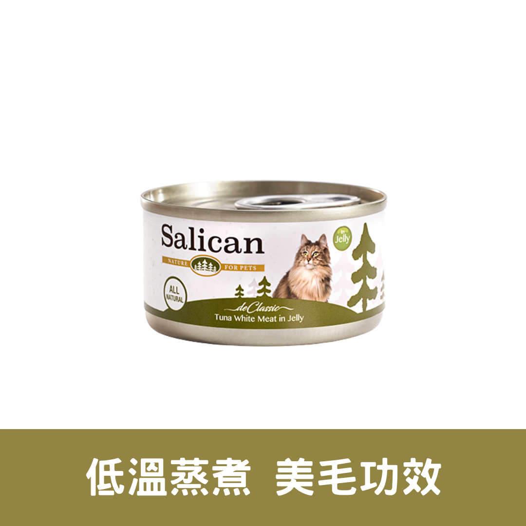 Salican 白肉吞拿魚啫喱貓罐| 85g
