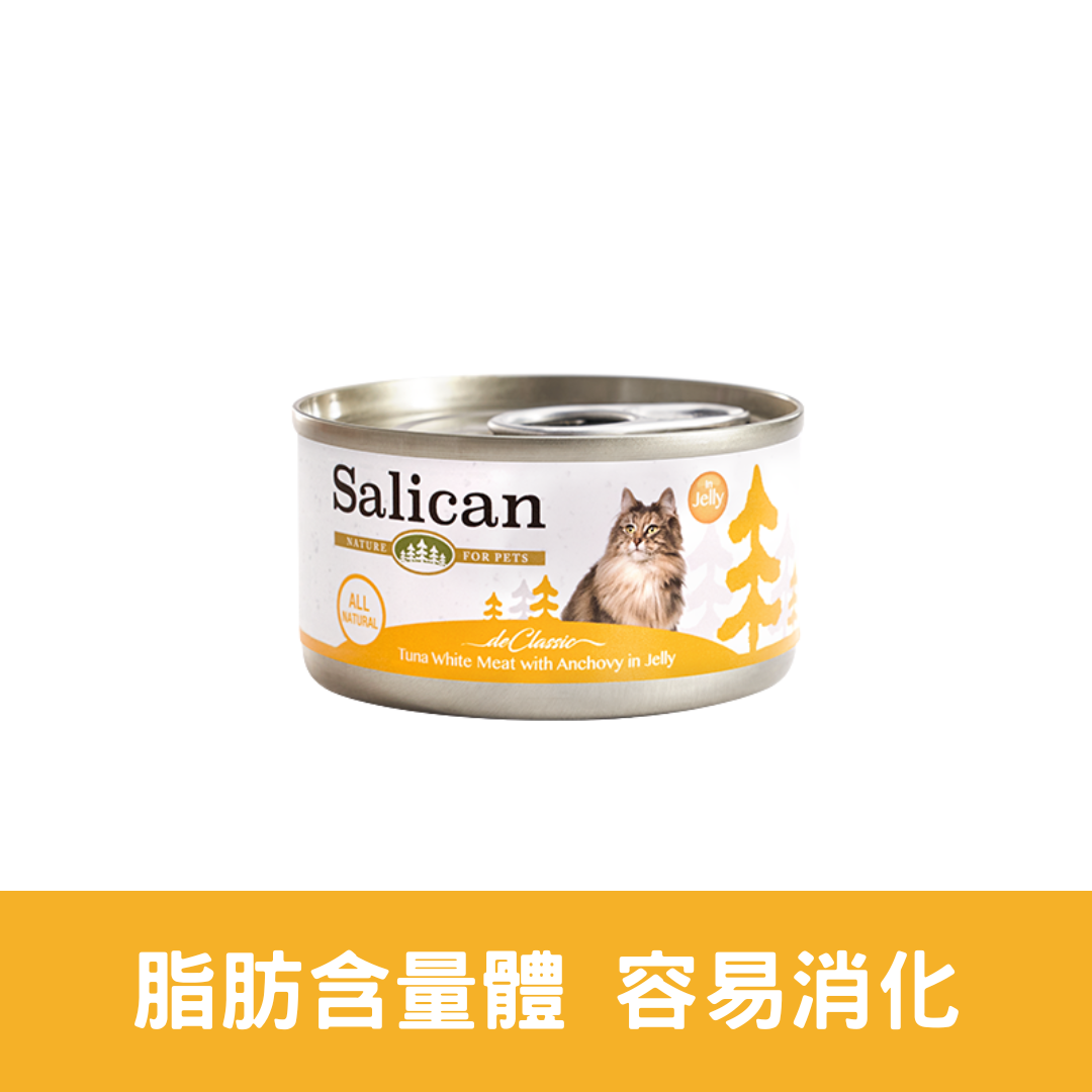 Salican 白肉吞拿魚鯷魚啫喱貓罐|  85g