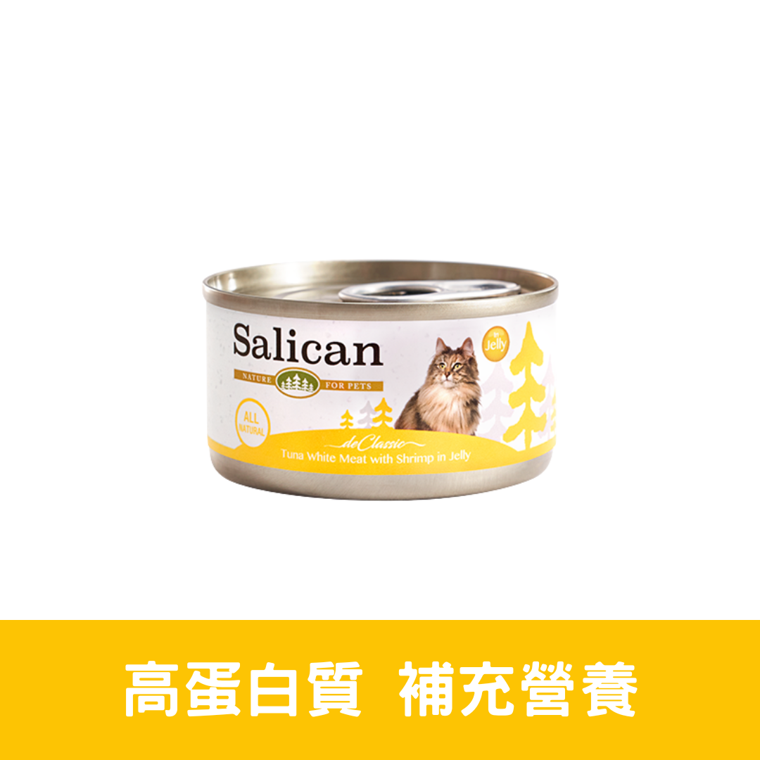 Salican 白肉吞拿魚鮮蝦喱貓罐|  85g