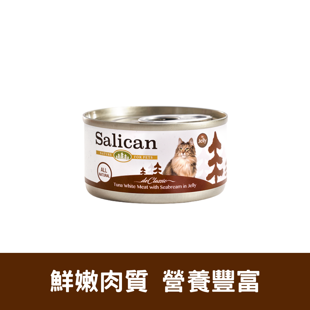 Salican 白肉吞拿魚鯛魚啫喱貓罐|  85g