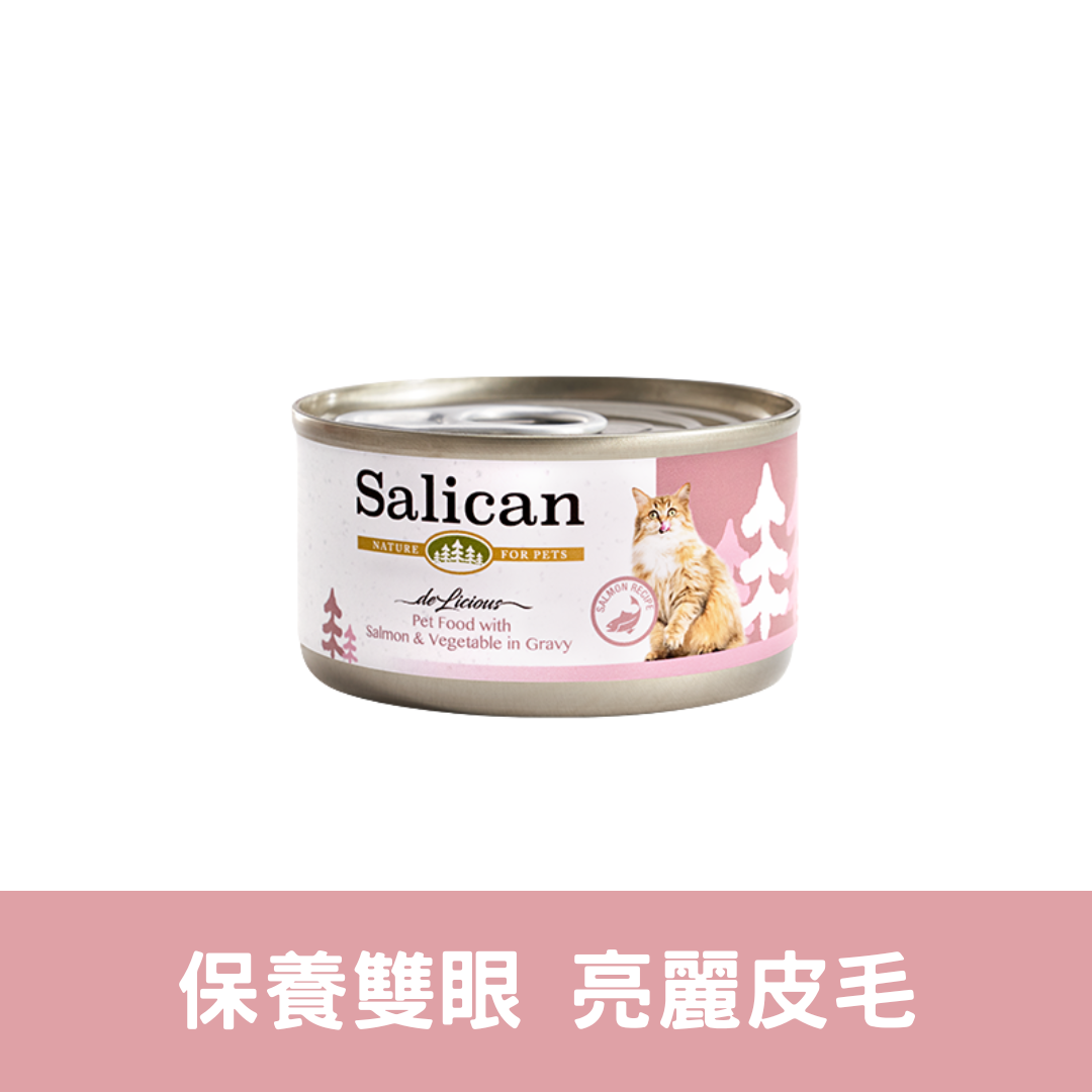 Salican 肉汁貓罐| 三文魚蔬菜| 85g