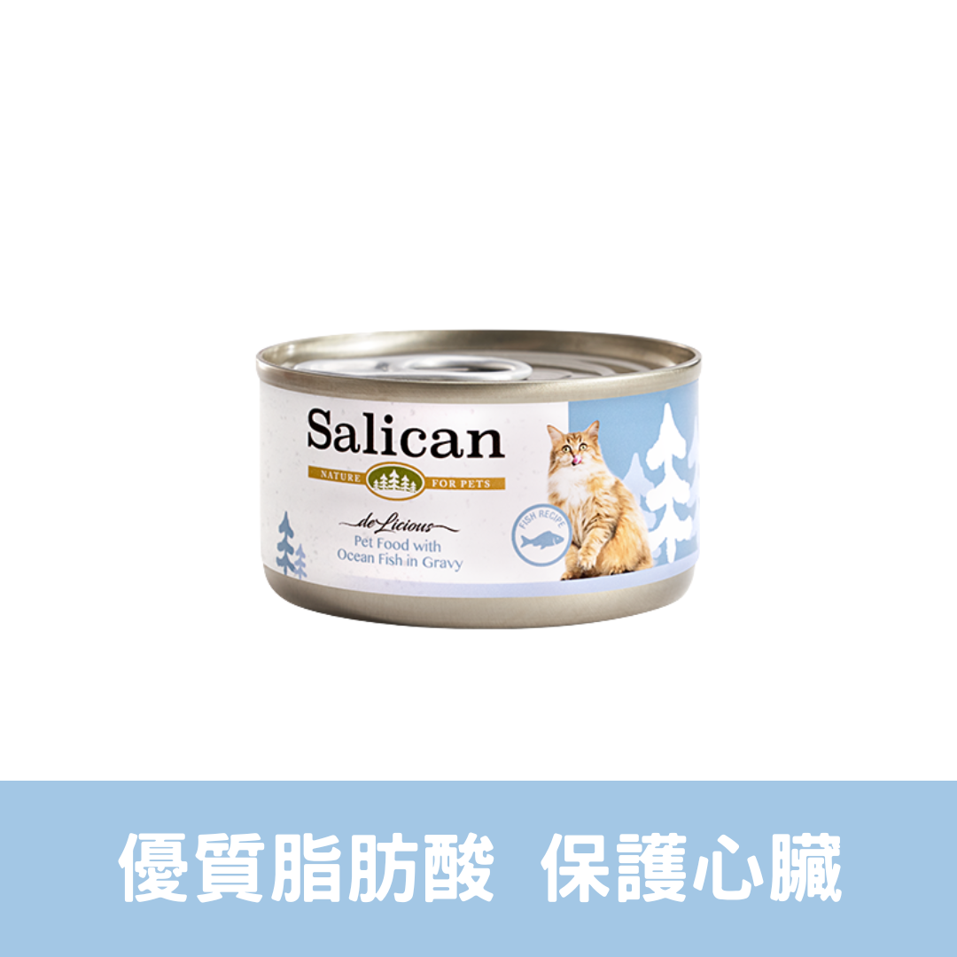 Salican 肉汁貓罐| 海洋魚| 85g