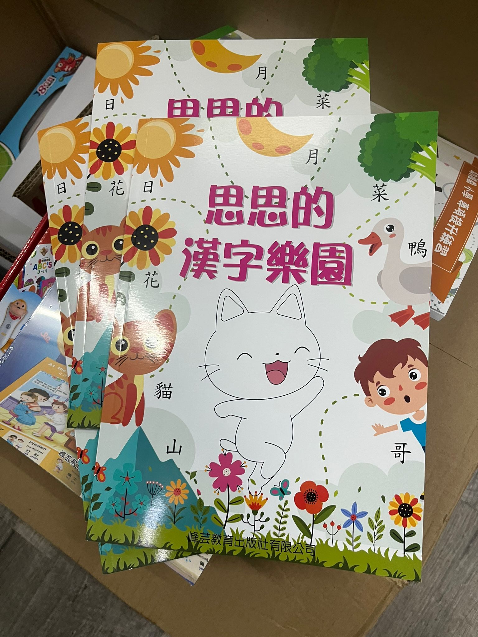 ✨新款✨ 思思的漢字樂園
