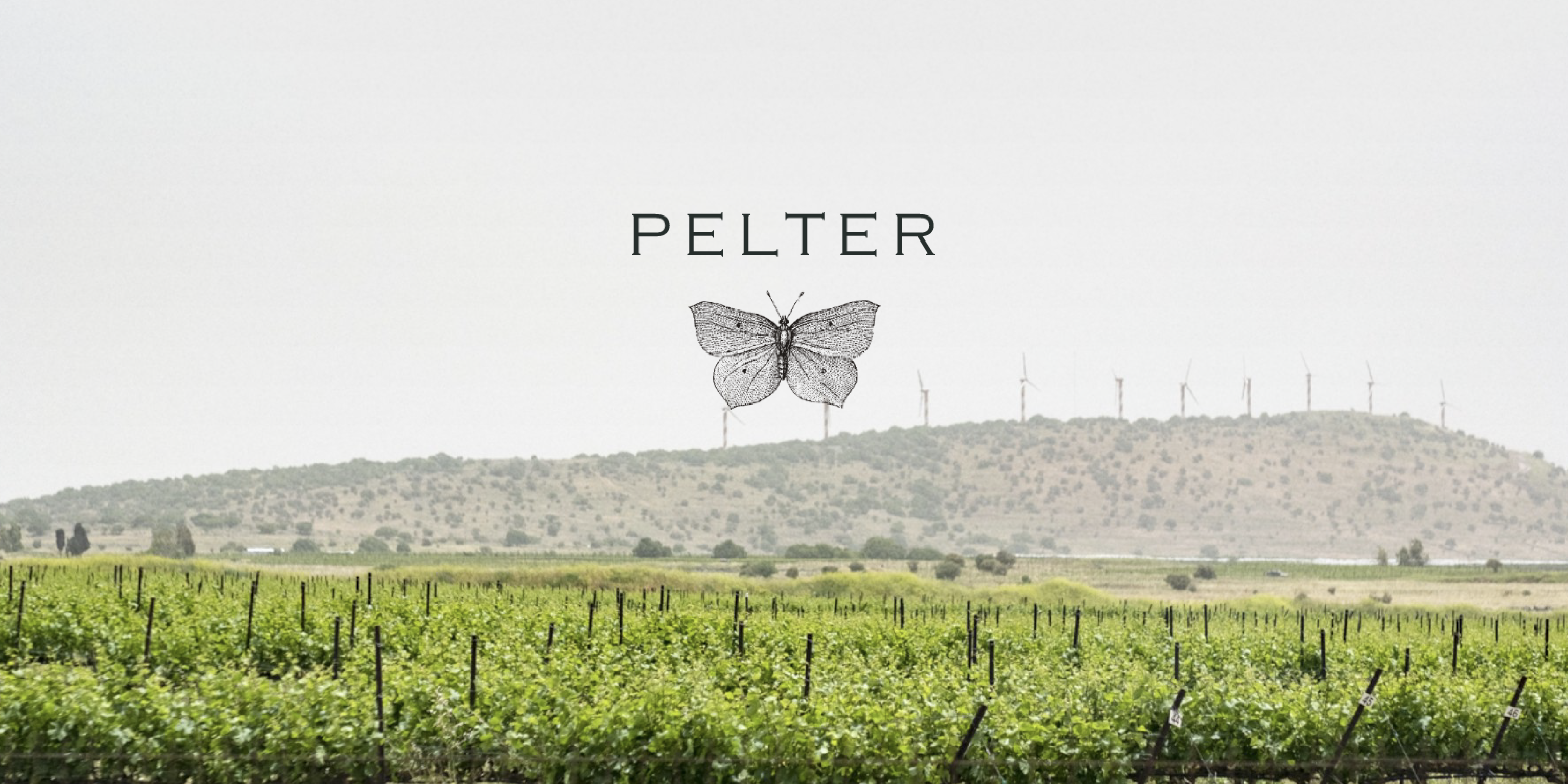 Pelter