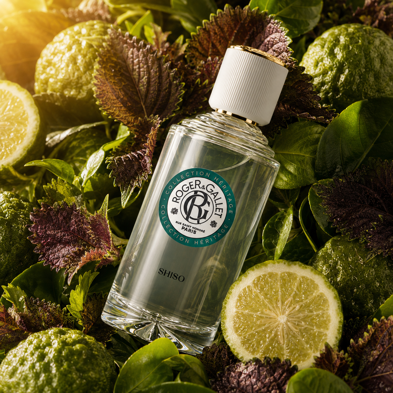 Roger & Gallet 夢迴花園 京都紫蘇 淡香水 100ML