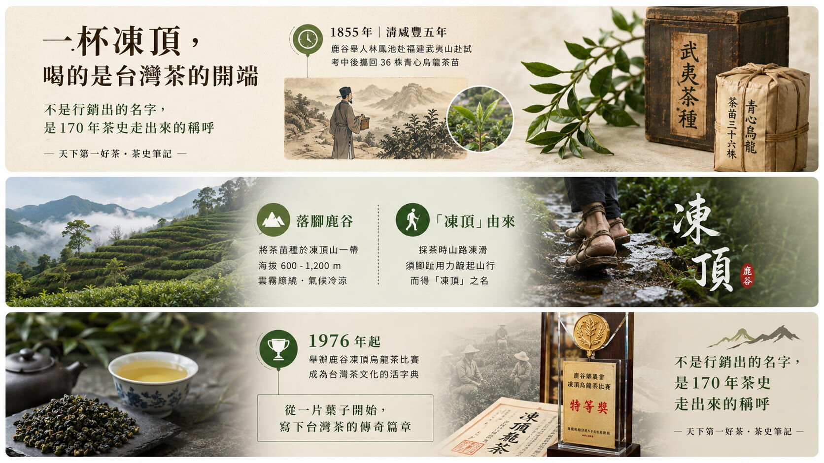 凍頂烏龍茶歷史時間軸圖，1855年林鳳池從福建武夷山帶回青心烏龍茶苗，凍頂地名由來與茶比賽歷史