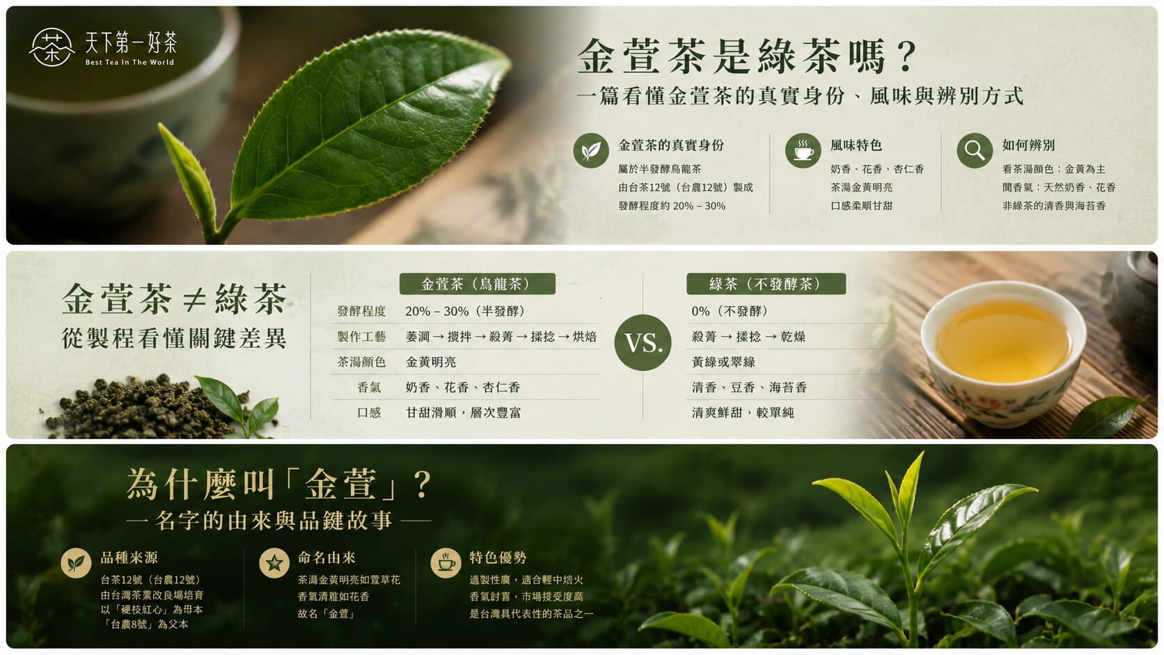 金萱茶怎麼辨別真假？5 個方法避開假金萱