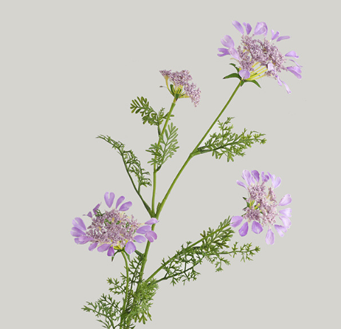 人造花 4頭長枝蕾絲花 4色