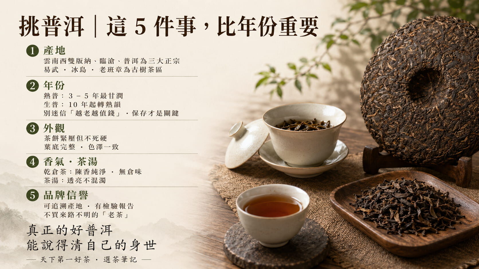 普洱茶選購五大重點圖，產地、年份、外觀、香氣茶湯、品牌信譽的判斷依據