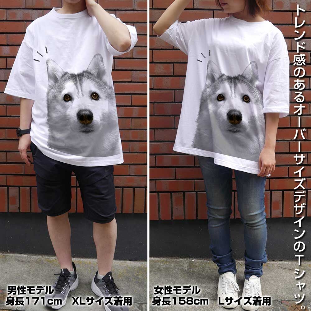 ｼﾙﾋﾞｱ ﾋﾞｯｸﾞｼﾙｴｯﾄTｼｬﾂ/WHITE COSPA 060126