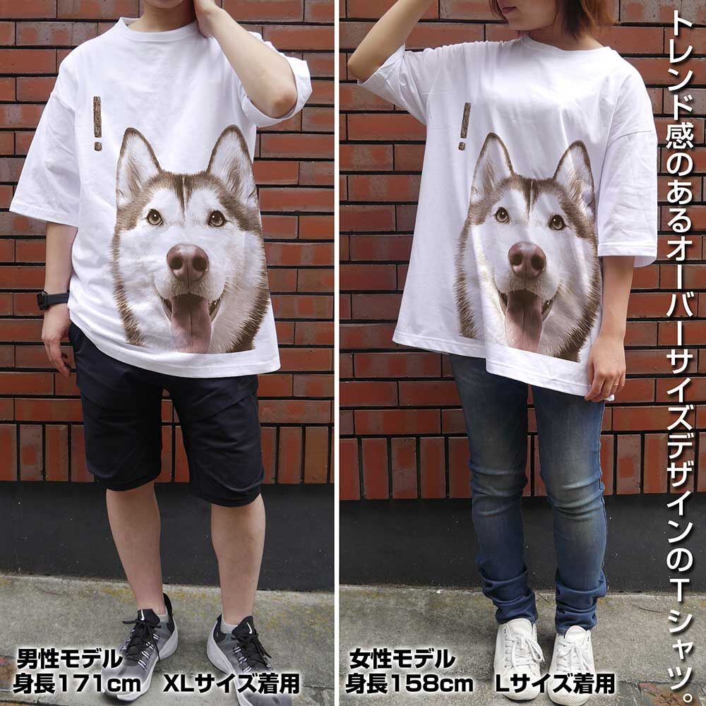 ｼｬﾝﾃ ﾋﾞｯｸﾞｼﾙｴｯﾄTｼｬﾂ/WHITE COSPA 060126