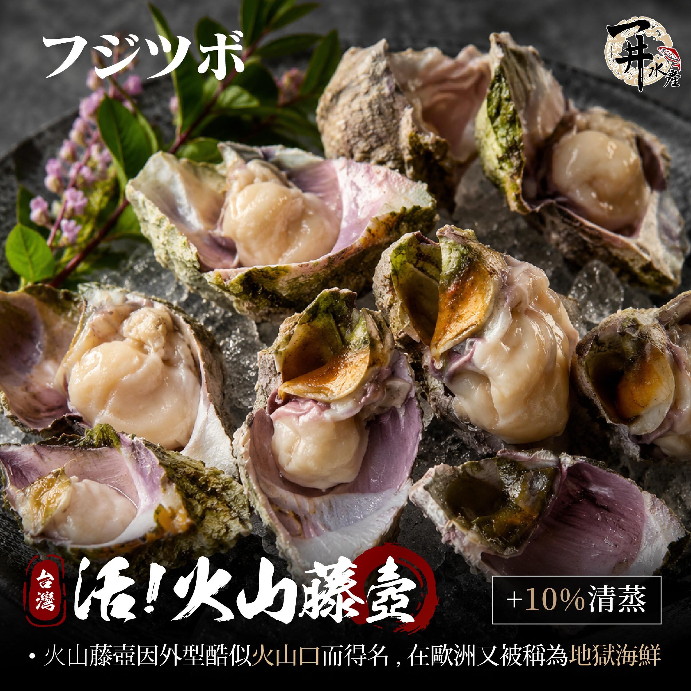 【活體】台灣火山藤壺 ⚠️冷藏寄送，請與冷凍商品分開下單⚠️