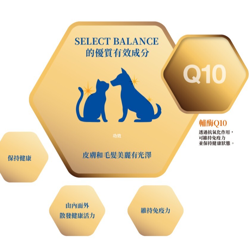 SELECT BALANCE 倍適選｜雞肉口味貓糧系列 1.6kg