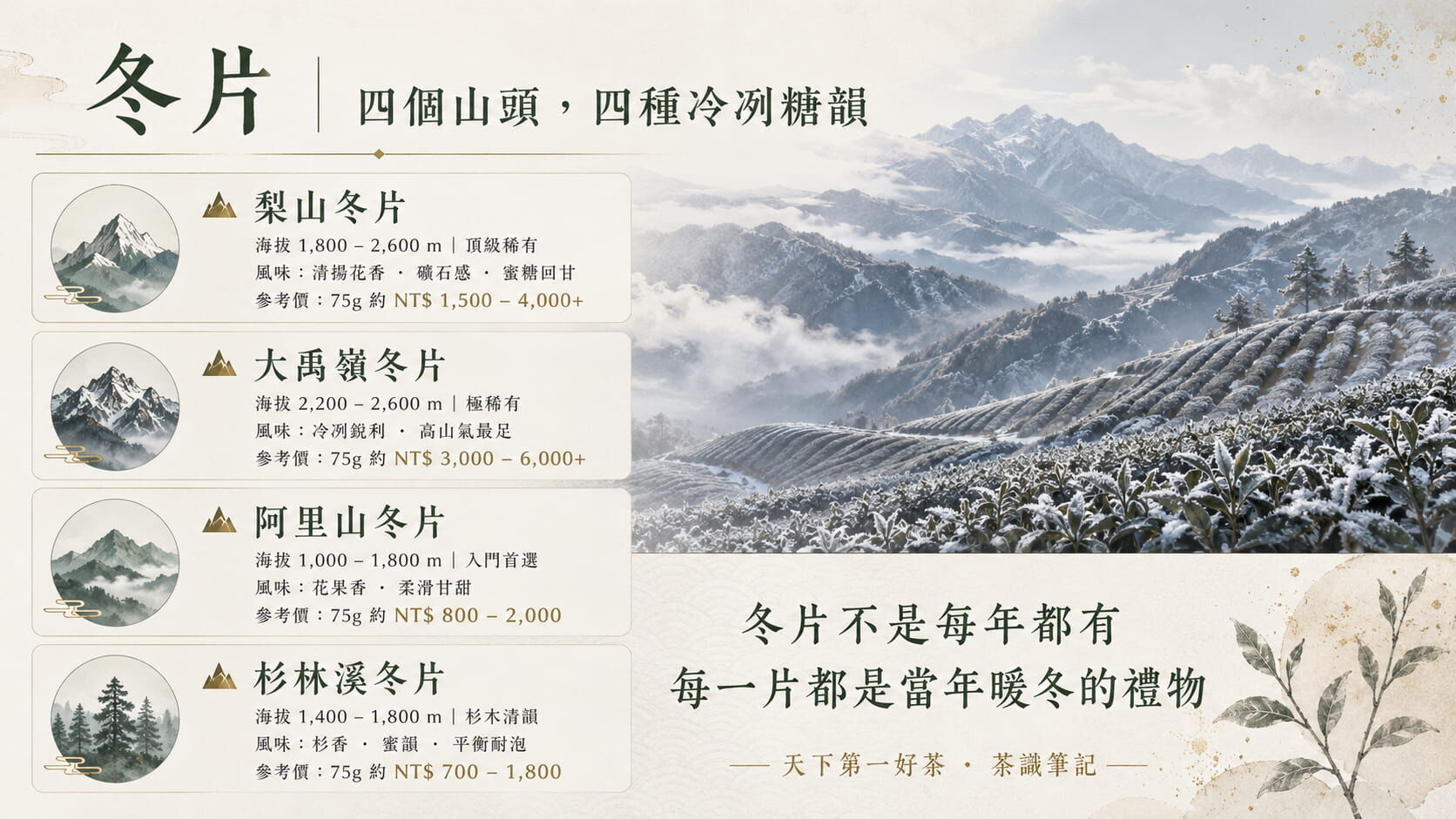 冬片四大產地對照圖，梨山、大禹嶺、阿里山、杉林溪冬片的海拔、風味特色與參考價格