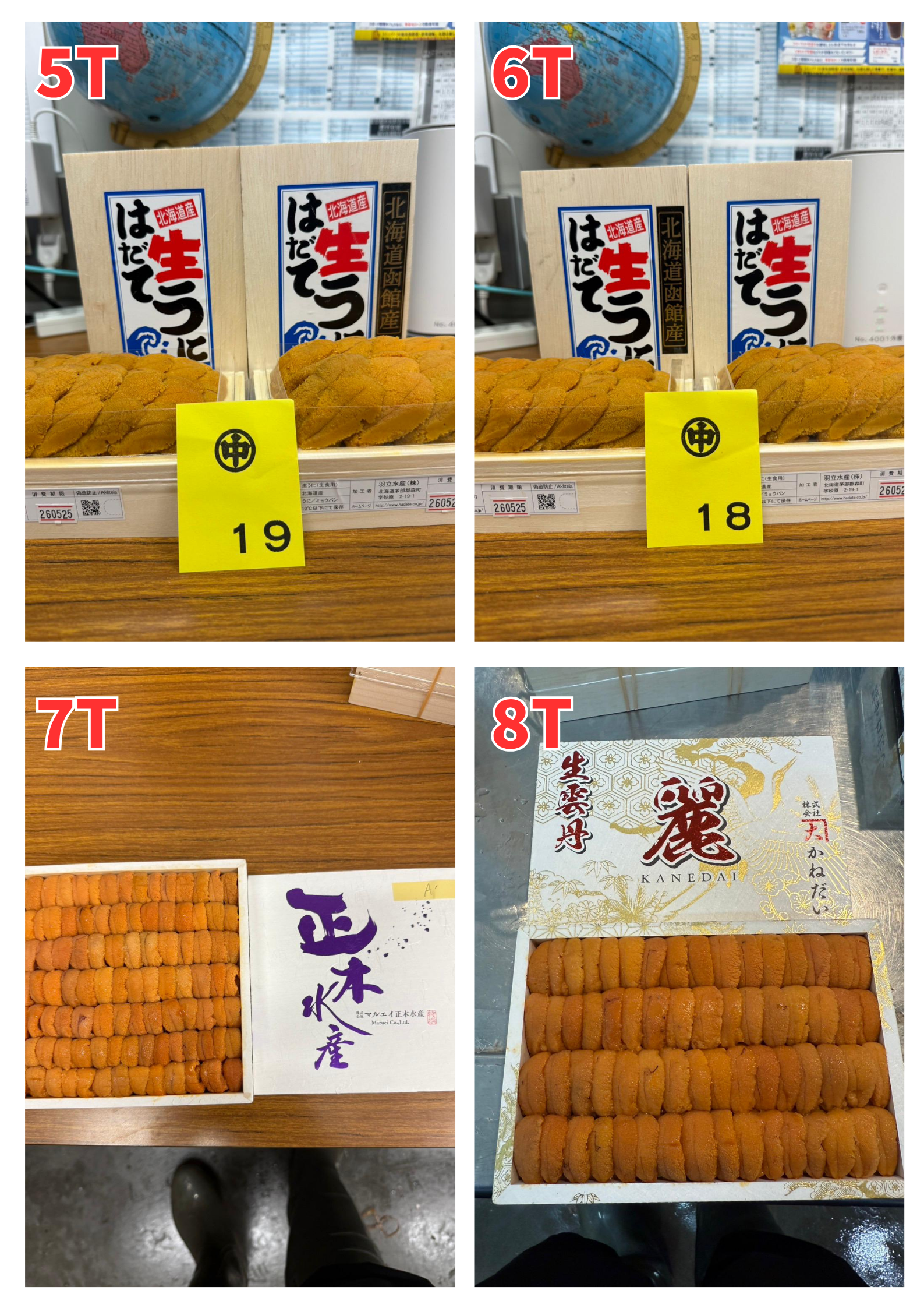 【指定海膽推薦】每天更新 (限即日落單, 翌日送)