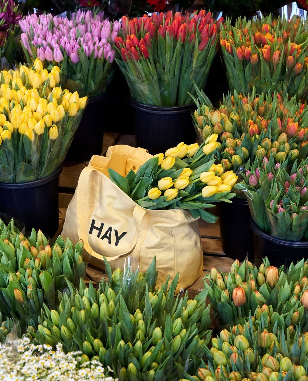 HAY SHopper 托特包 購物袋 柔黃色