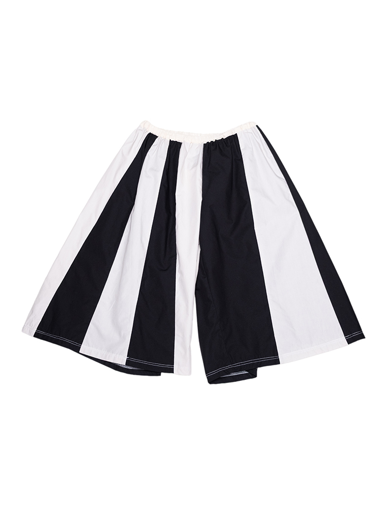 Pennant Shorts