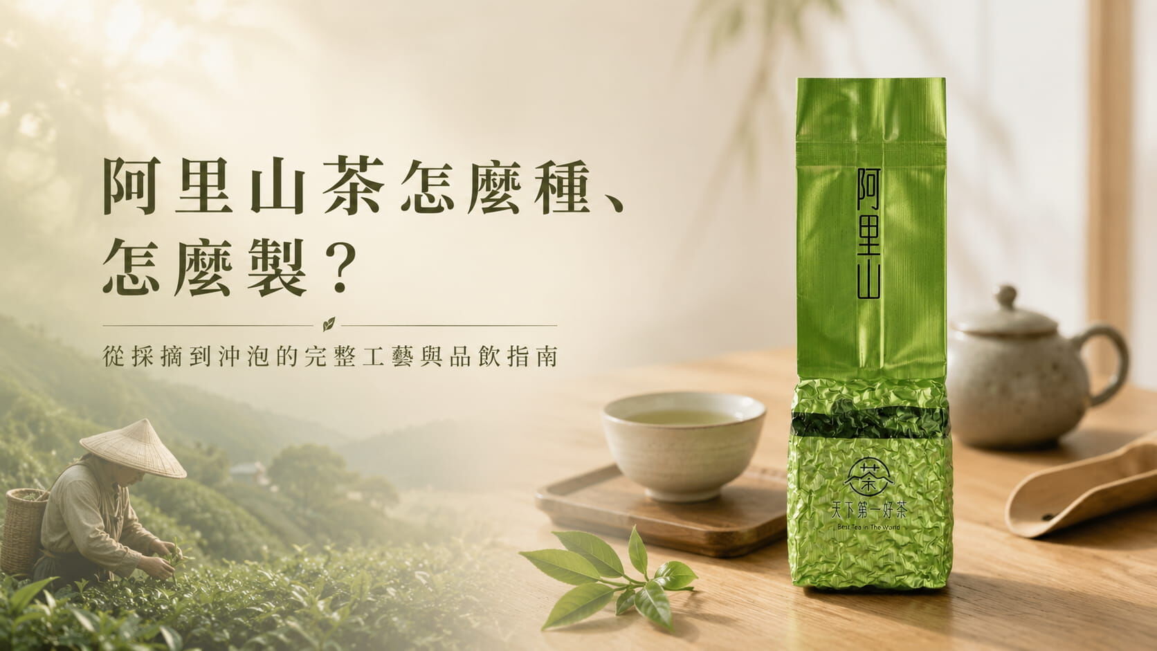 阿里山茶怎麼種、怎麼製？從採摘到沖泡的完整工藝與品飲指南