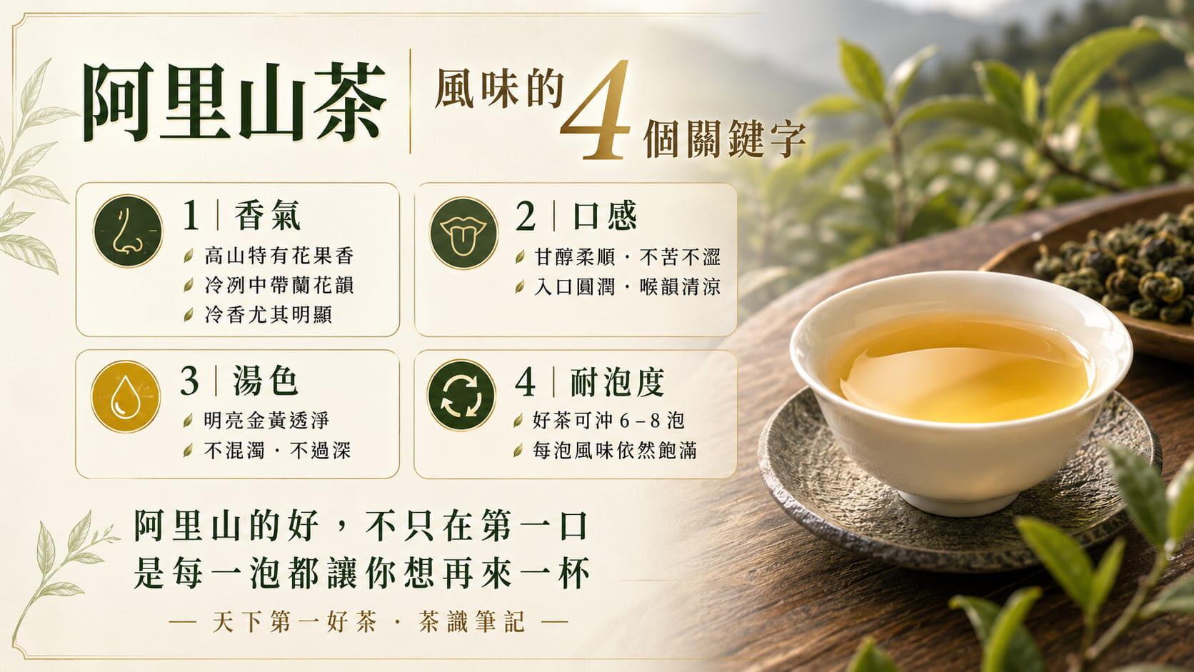 阿里山茶四個風味特徵圖,香氣花果蘭花韻、口感甘醇柔順、湯色金黃透淨、耐泡6至8泡