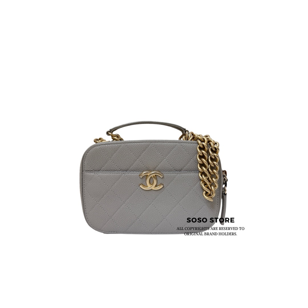 Chanel Camera Bag - Grey / GHW