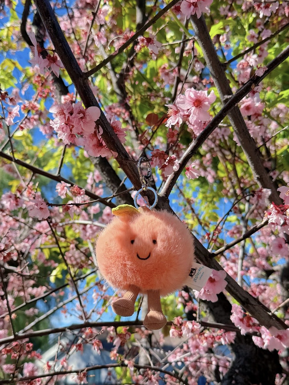 （預購）Jellycat Amuseables Peach Bag Charm 水蜜桃 絨毛吊飾 掛件