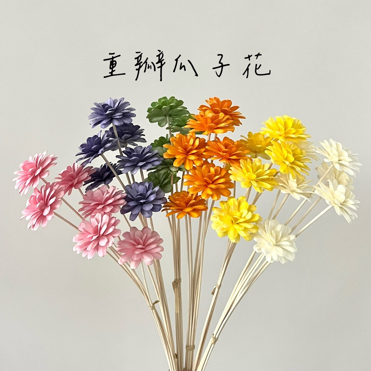 手工重瓣瓜子花