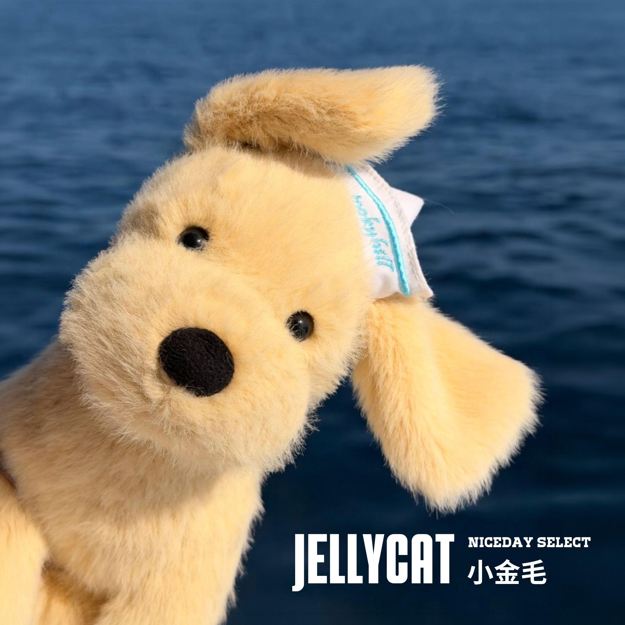 NICEDAY 代購 Jellycat 小金毛 動物 娃娃 毛絨玩偶