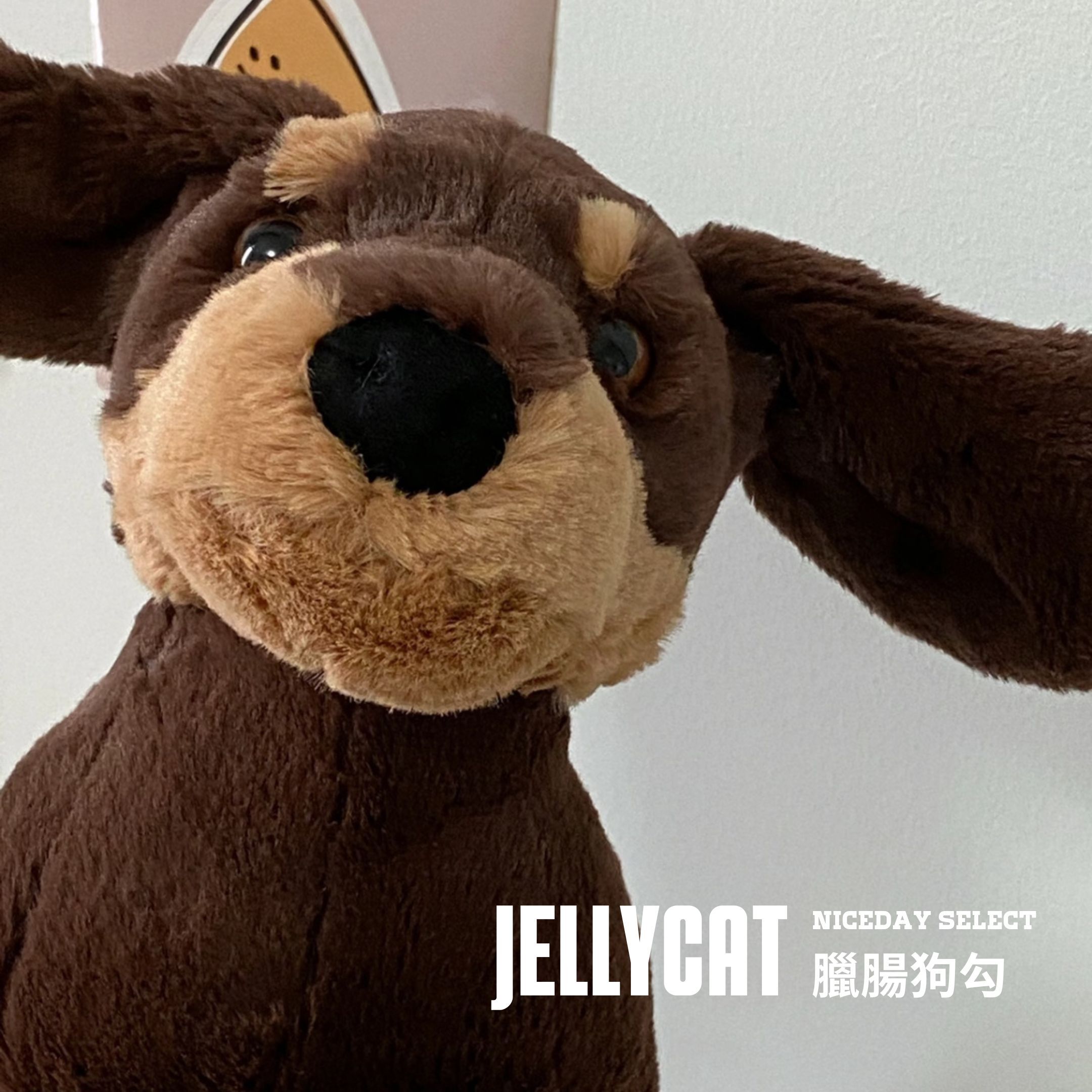 NICEDAY 代購 Jellycat 臘腸狗 動物 娃娃 毛絨玩偶