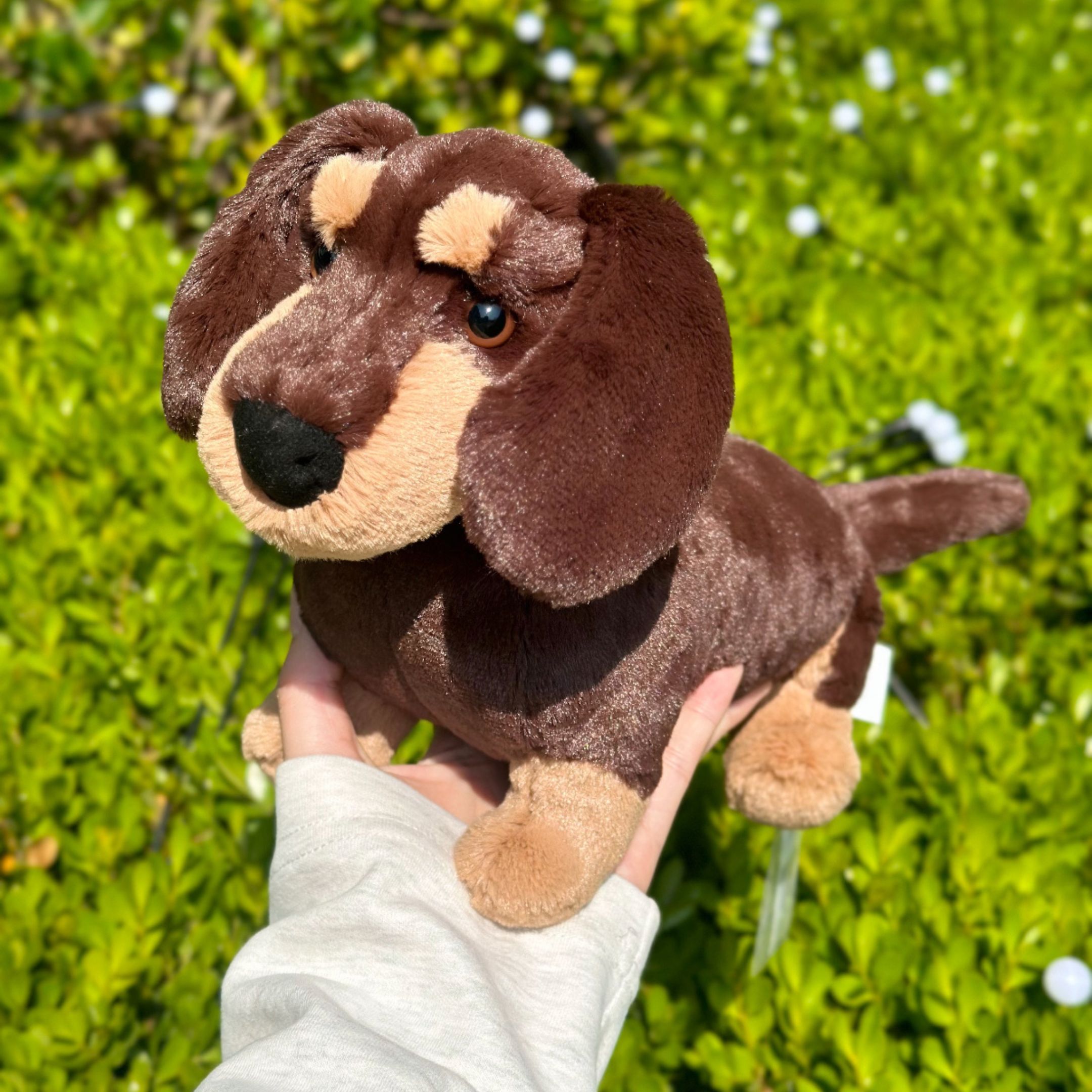 NICEDAY 代購 Jellycat 臘腸狗 動物 娃娃 毛絨玩偶