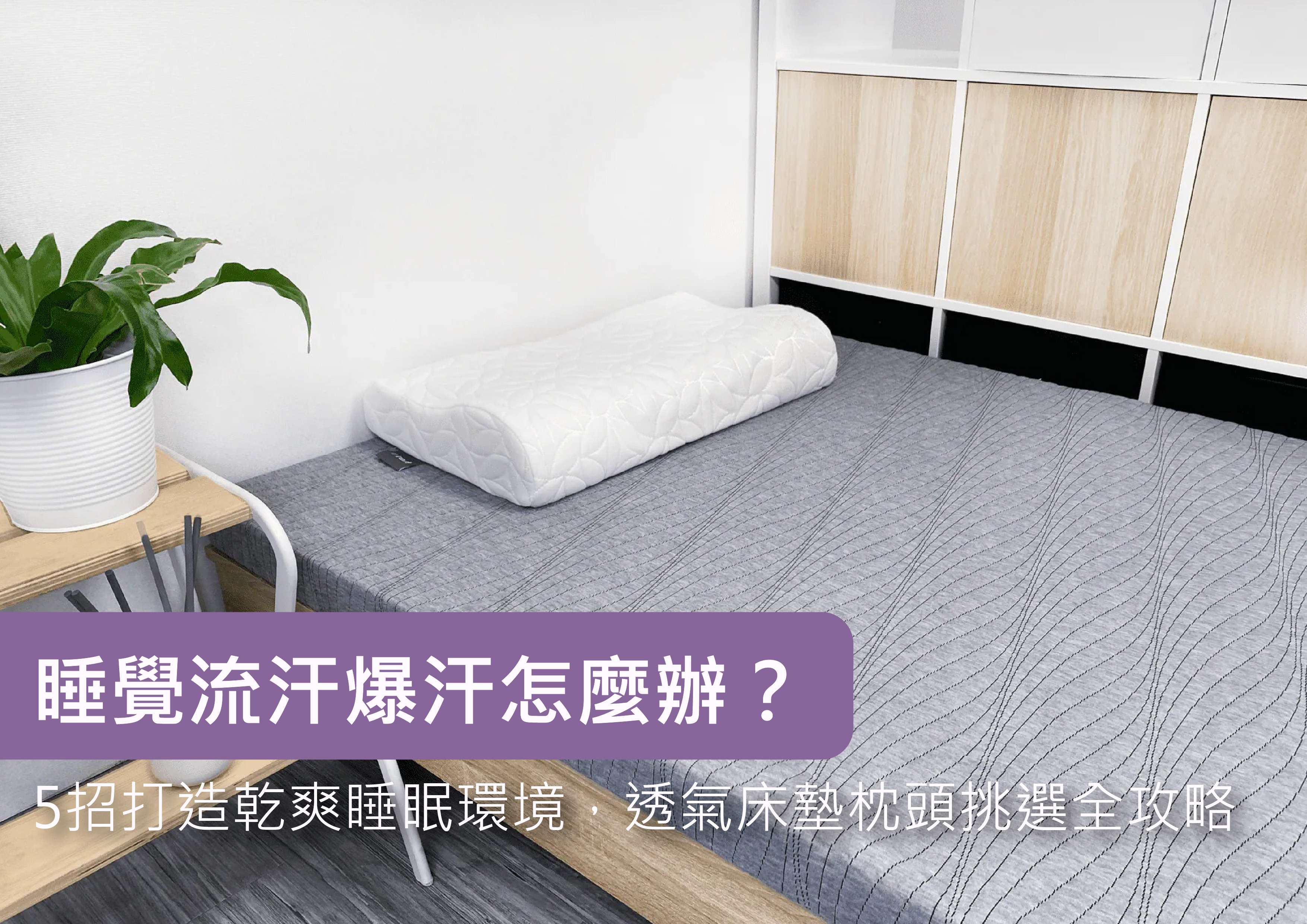 炎熱夏天涼爽提案．歐瑞思o'rest