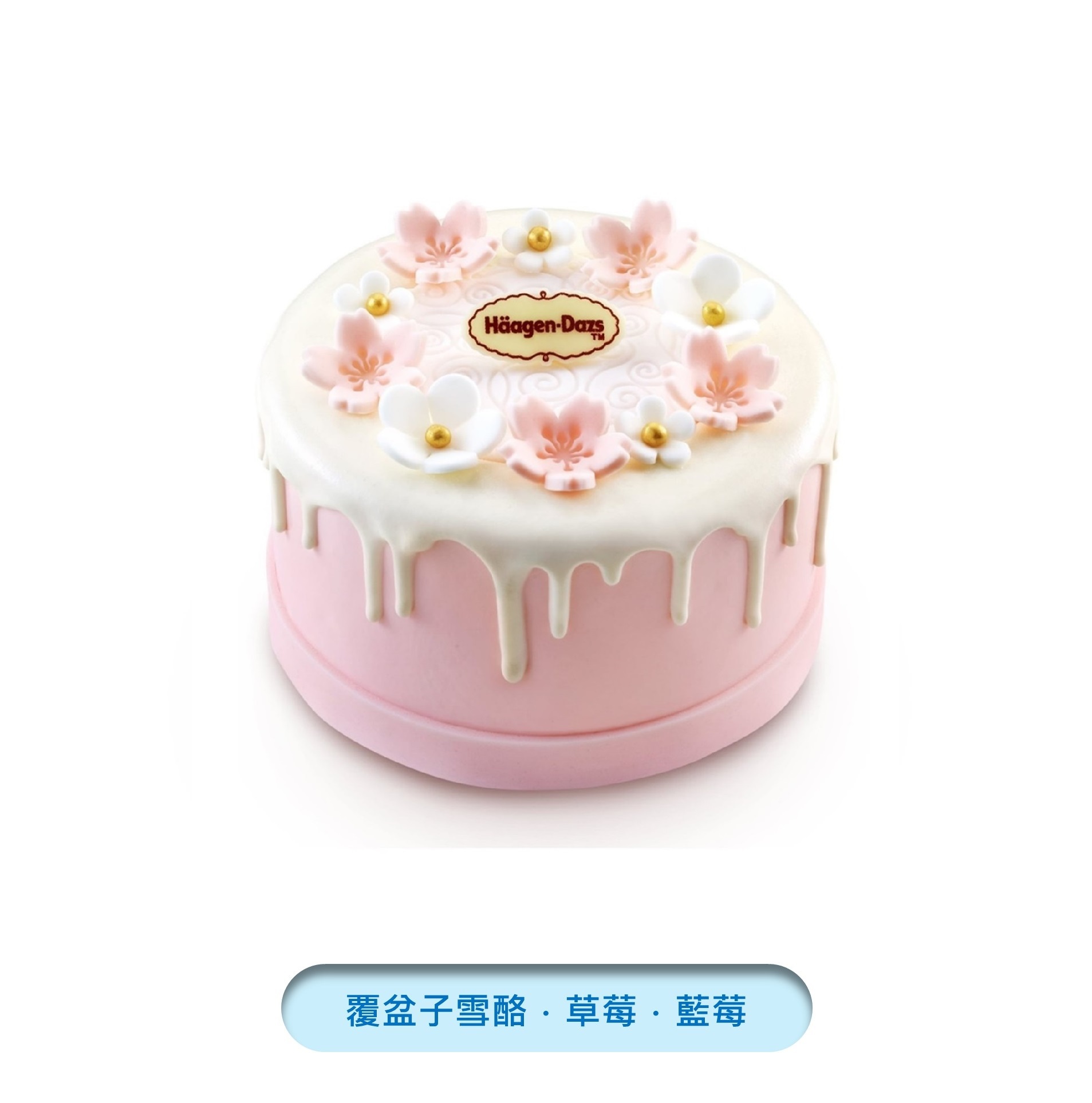 小花園冰淇淋蛋糕