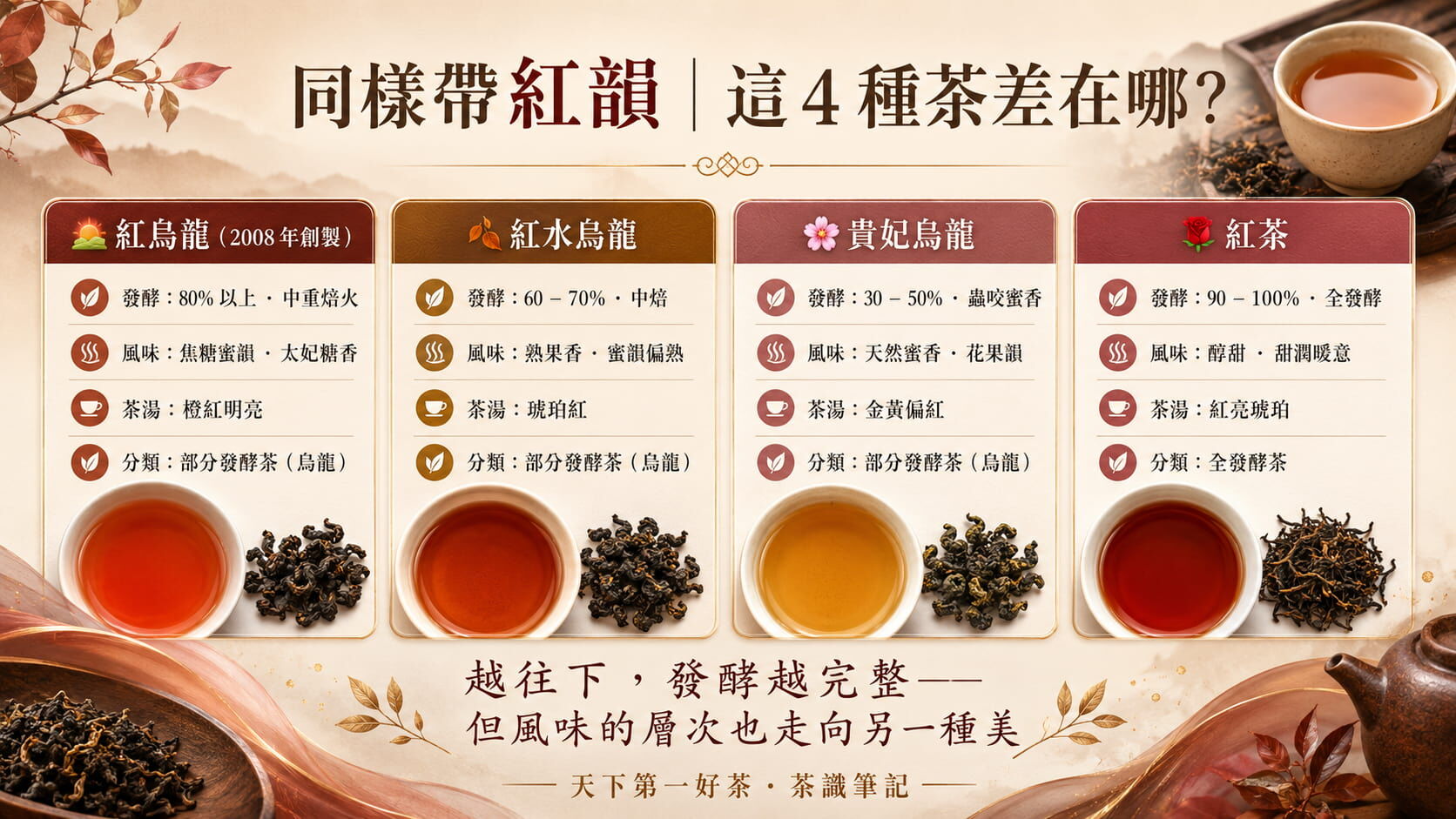 紅烏龍與紅水烏龍與貴妃烏龍與紅茶四茶對照圖，發酵度、風味、茶湯、茶類分類的差異