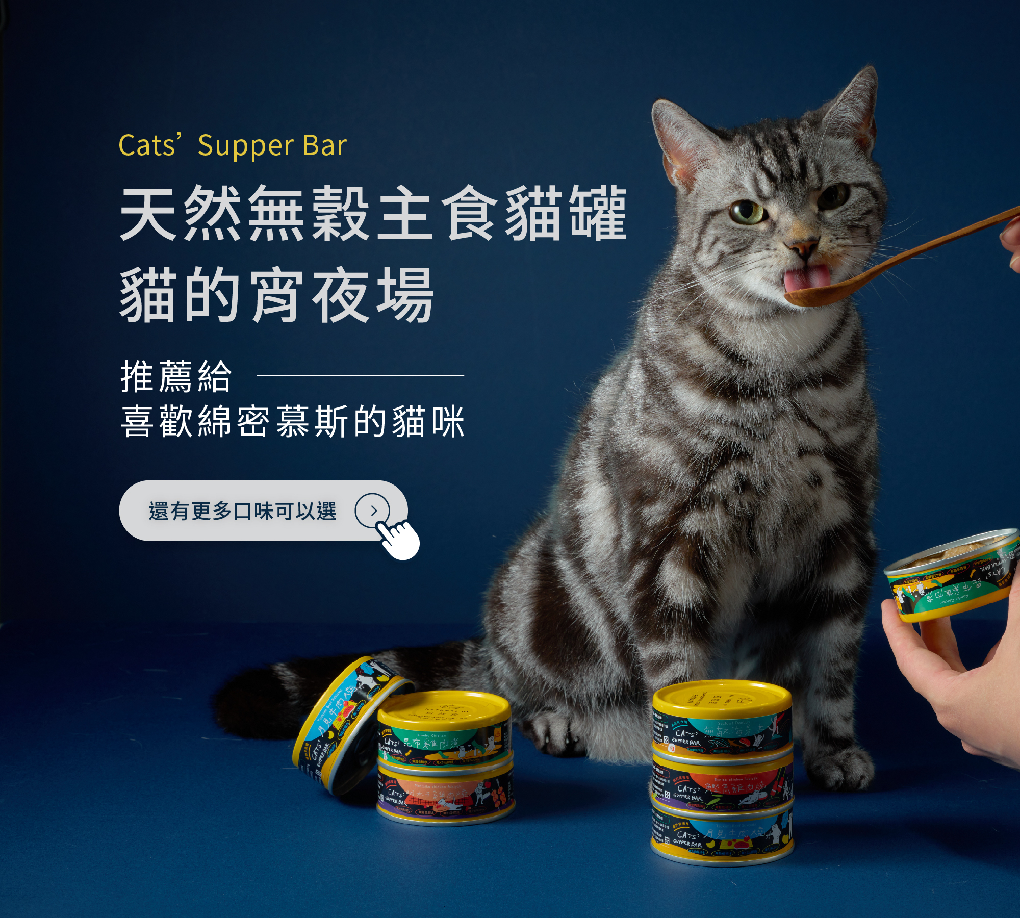 貓咪主食罐