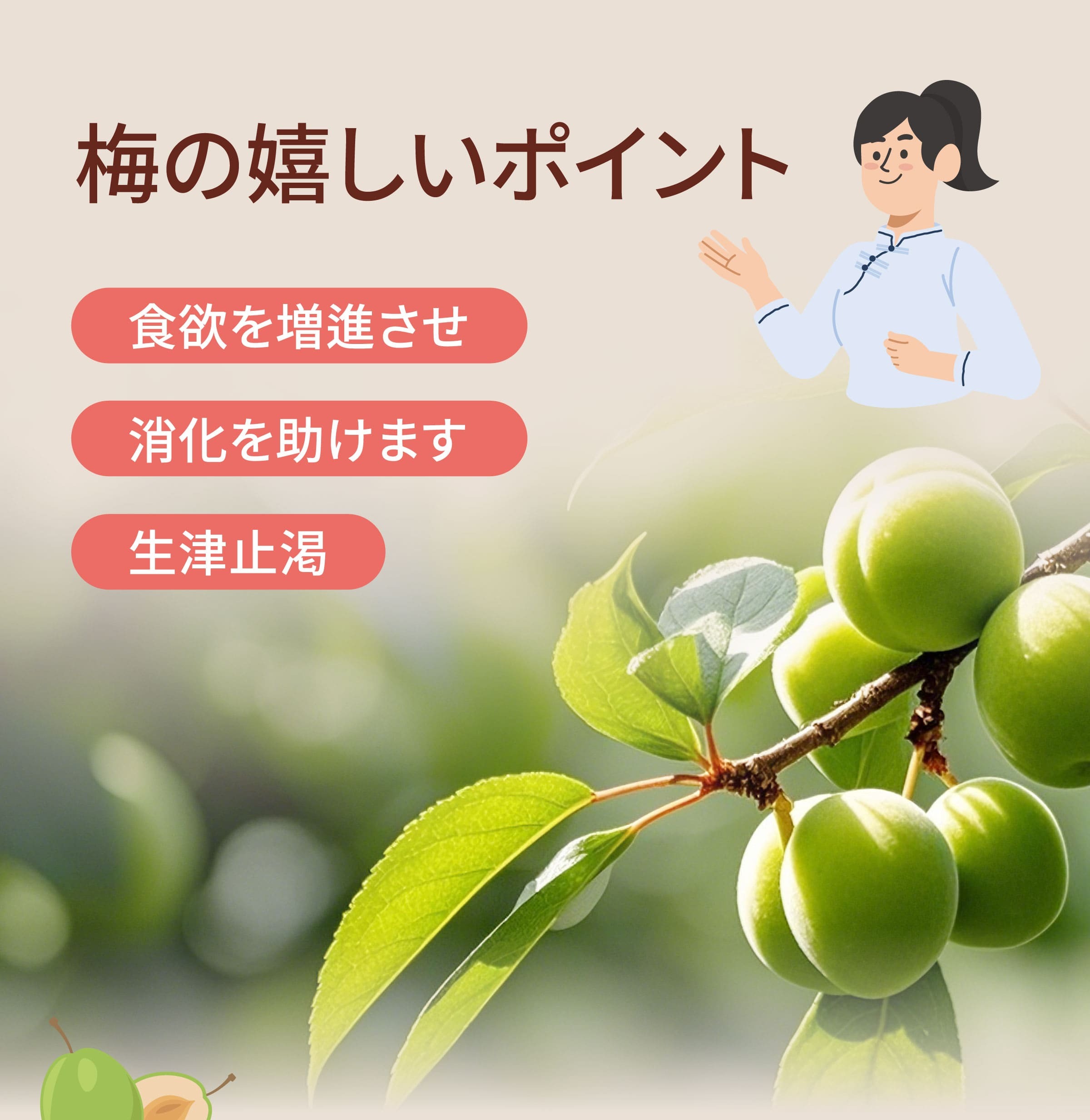 梅 の紹介