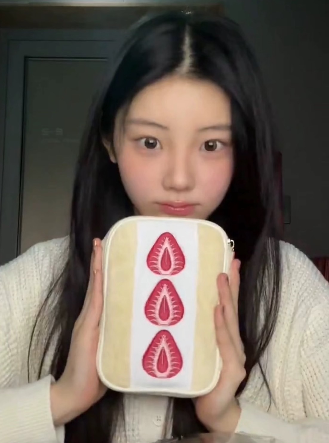 Katze草莓化妝包 李沅禧同款 安宥真同款