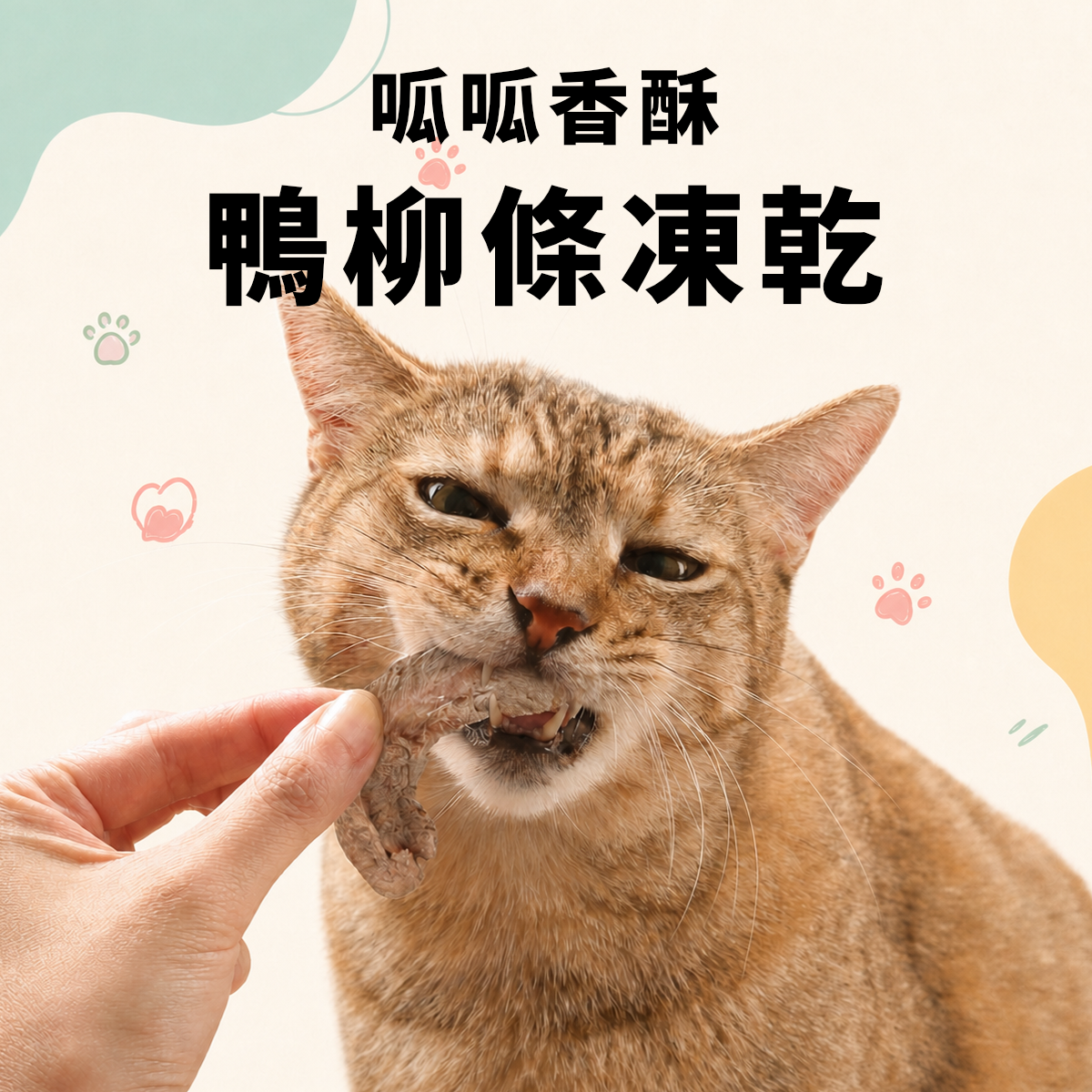 卡尼鴨柳條凍乾 鴨里肌寵物零食 貓狗適用