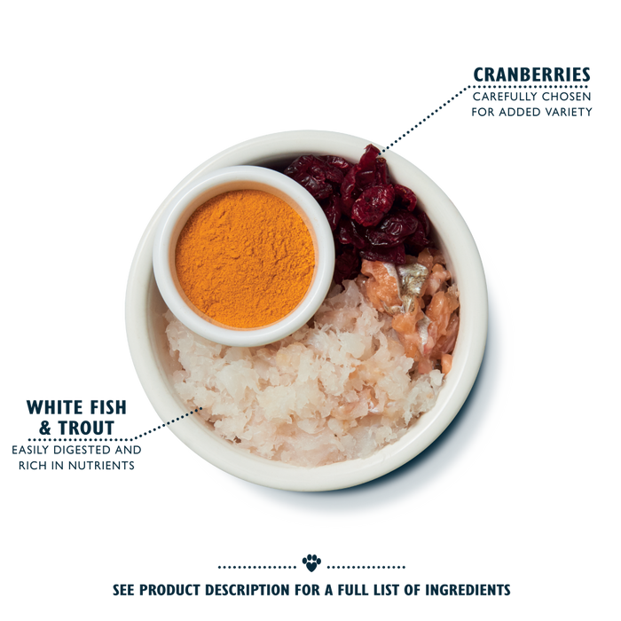 [斷貨中] Lily's Kitchen – 無穀物乾糧配方 - 白魚佐火雞及鱒魚(老貓)專用餐 White Fish with Turkey and Trout for SENIOR (紫) 800g