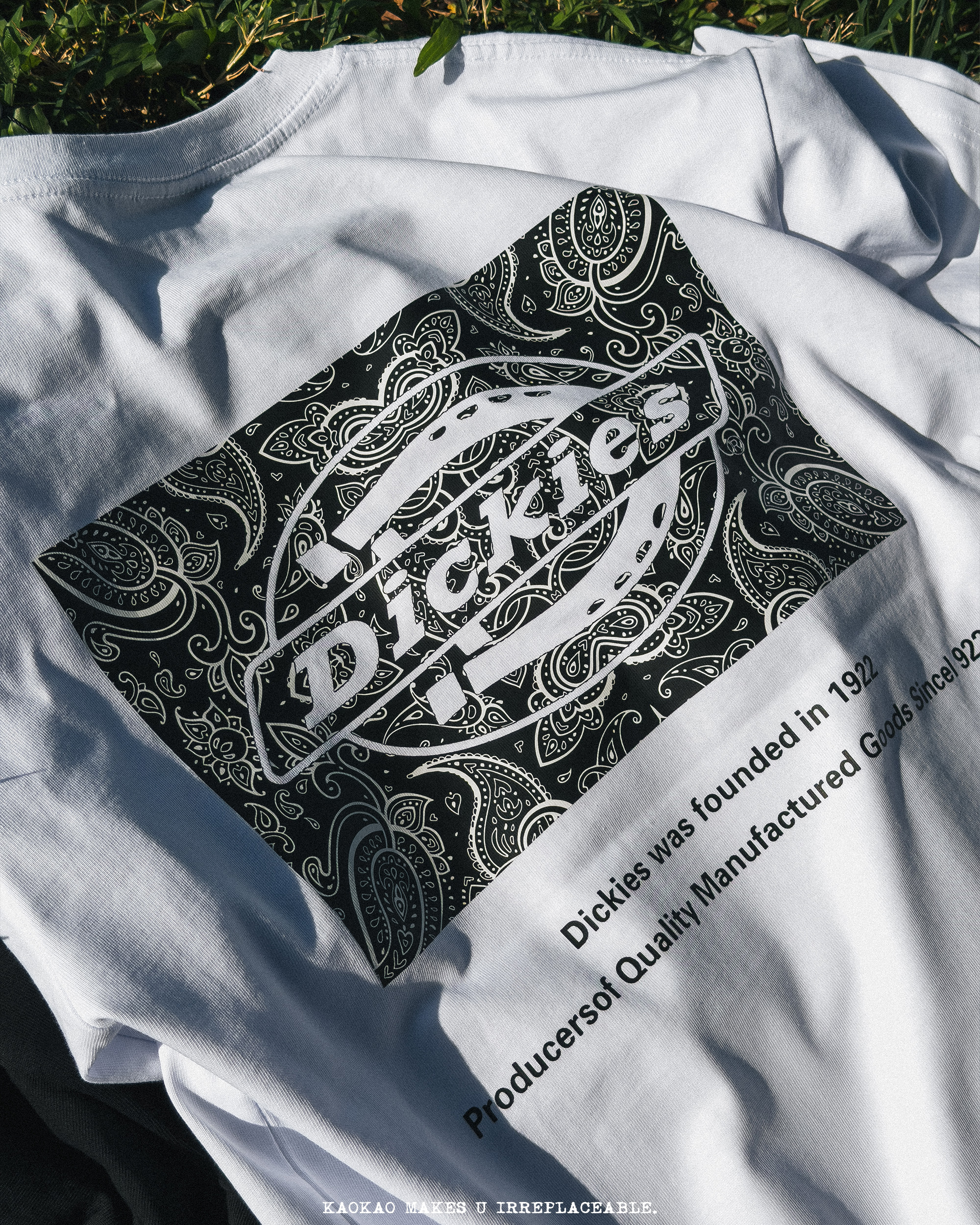 現貨 Dickies 復古 厚磅 320g 腰果花 變形蟲 LOGO 短T