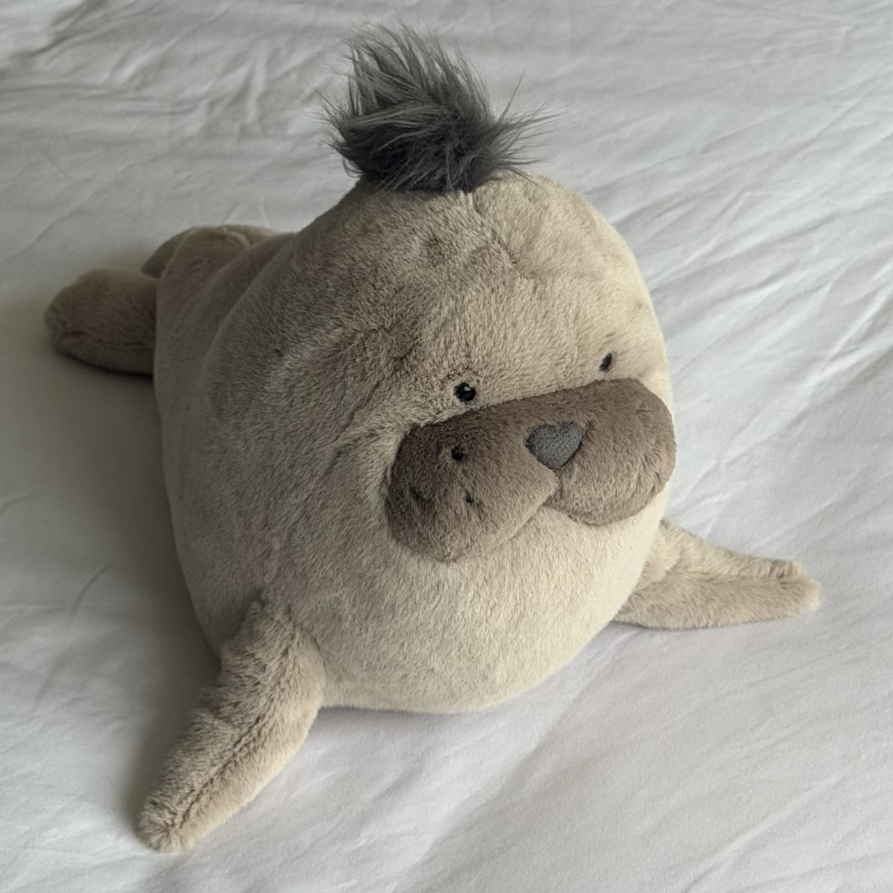 （預購）Jellycat  Roarwell 海獅 絨毛玩偶 🦭
